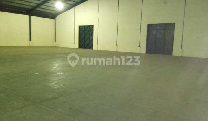 Gudang masuk contsiner wan