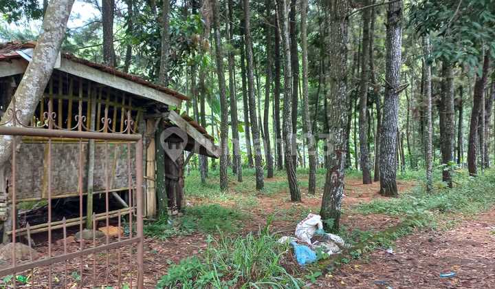 Kavling dekat jalan raya panca Kavling dekat jalan raya panca
