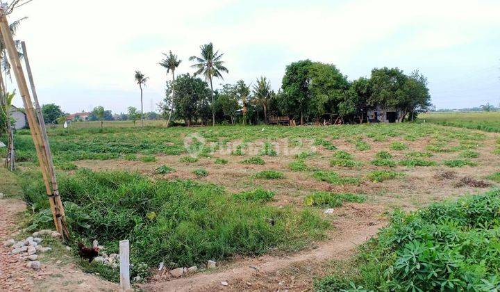 Tanah di Babelan Tambelang Bekasi 2