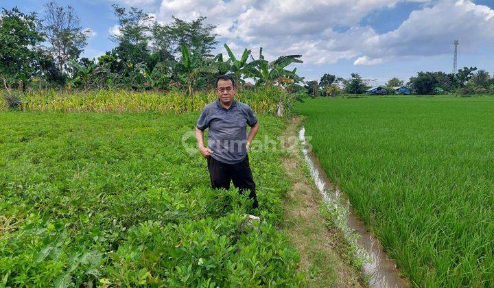 Tanah 400m2 di Klapa nunggal Bogor  2