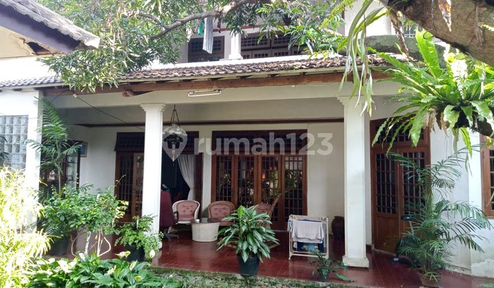 Rumah Asri Di Bawah Njop Diarea Elit Kemang Jaya Kemang Jakarta Selatan Rumah Asri Di Bawah Njop Diarea Elit Kemang Jaya Kemang Jakarta Selatan