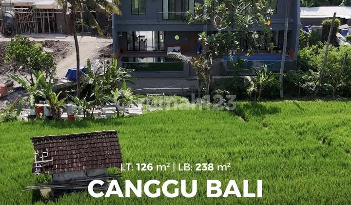 Villa Baru Siap Huni Full Furnised View Sawah Di Canggu Bali