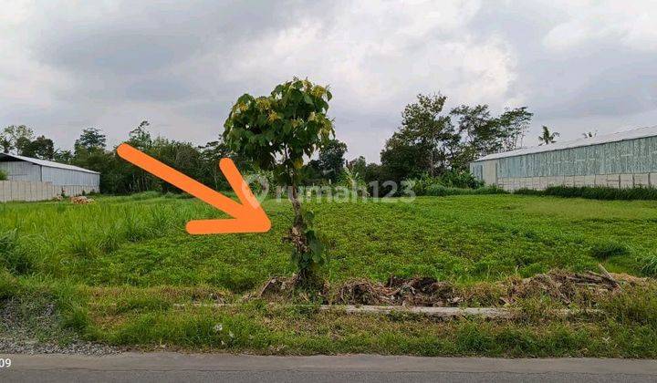 Tanah Sawah Disewakan Luas Bisa Sewa Jangka Panjang Cck Untuk Villa Cafe Area Jongke Mlati Sleman 1