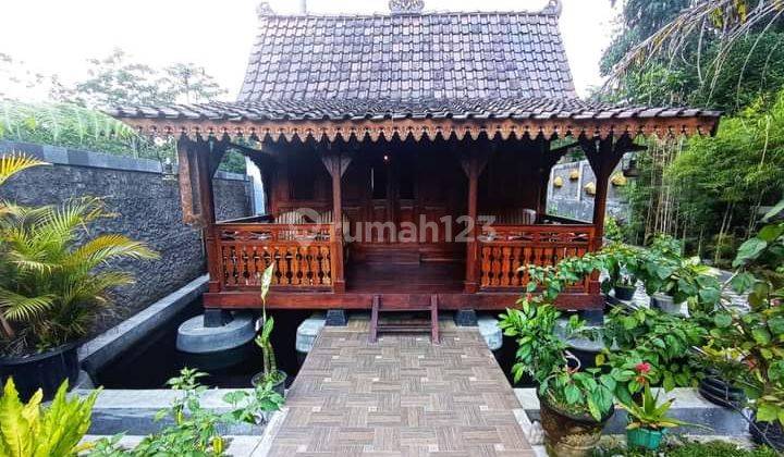 Istimewa Villa Siap Huni Diutara Jogja Cocok Untuk Investasi Tanah Luas  9
