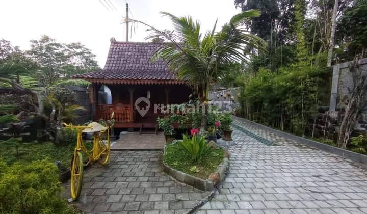 Istimewa Villa Siap Huni Diutara Jogja Cocok Untuk Investasi Tanah Luas  11
