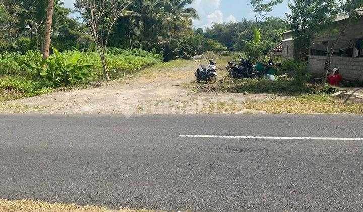 Tanah Murah Butuh Cepat Terjual Pindah Luar Kota Area Bagunkerto Turi Tanah Murah Butuh Cepat Terjual Pindah Luar Kota Area Bagunkerto Turi