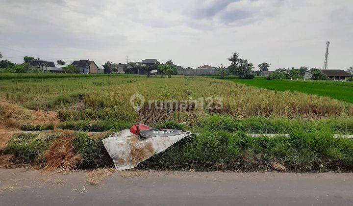 Tanah Sawah Dijual Area Jalan Jambon Dekat Pasar Jambon Dan Sindu Edupark 2