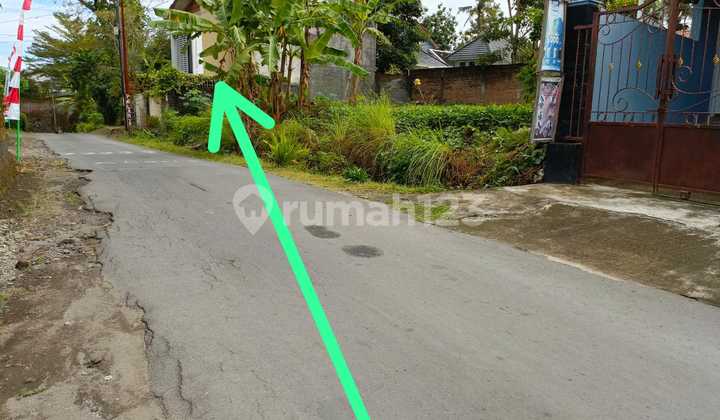 Tanah Dijual Pekarangan Cck Untuk Homestay Villa Area Jalan Palagan Dekat Banyak Cafe Tanah Dijual Pekarangan Cck Untuk Homestay Villa Area Jalan Palagan Dekat Banyak Cafe