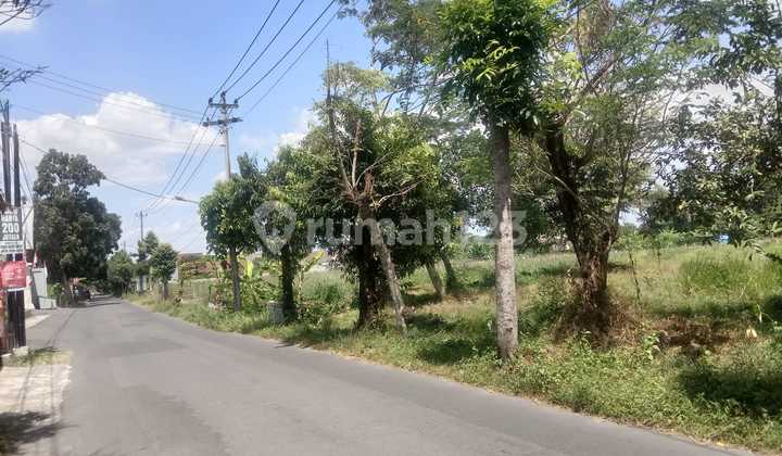 For Rent: Vacant Land with SHM Certificate, Rice Field Adjacent to Asphalt Road in Kaliurang Km 10 Area.