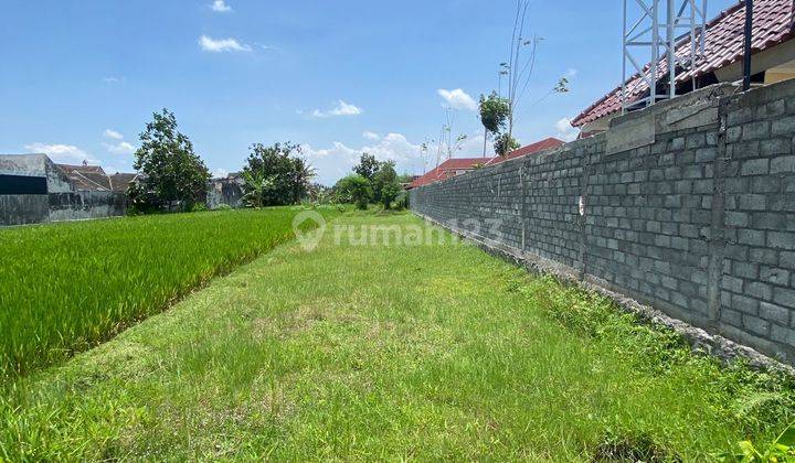 Tanah Sawah Dijual Dijalan Godean Cck Untuk Gudang, Homestay, Villa Dll 1