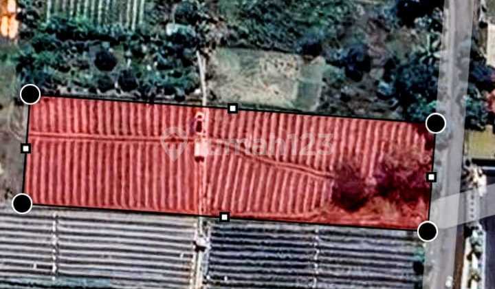 For Rent: Vacant Land with SHM Certificate, Rice Field Adjacent to Asphalt Road in Kaliurang Km 10 Area.