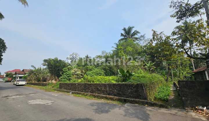 Tanah Dijual Pekarangan Cocok Untuk Perumahan Gudang Area Kadiluwih Salam