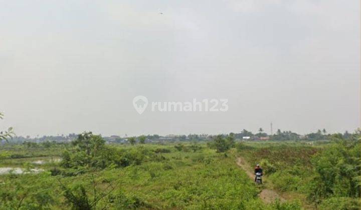 Dijual Tanah Luas Di Sepatan Lebak Wangi Tangerang Banten  4