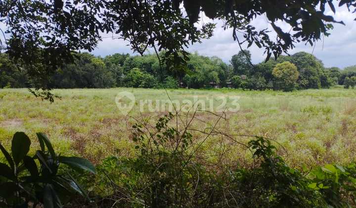 Dijual Tanah Luas di Ragemanunggal Setu Bekasi 