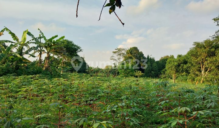 Dijual Tanah Luas di Ragemanunggal Setu Bekasi 