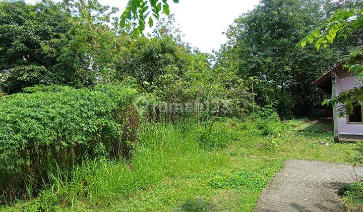 JUAL TANAH DAN BANGUNAN RUKO ZONA KUNING PINGGIR JALAN RAYA CAMPAKA PURWAKARTA JAWA BARAT 13