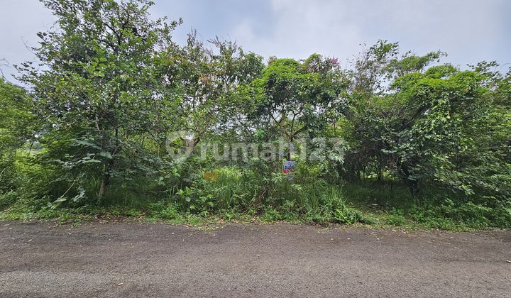 tampak depan tanah murah permata sentul golf