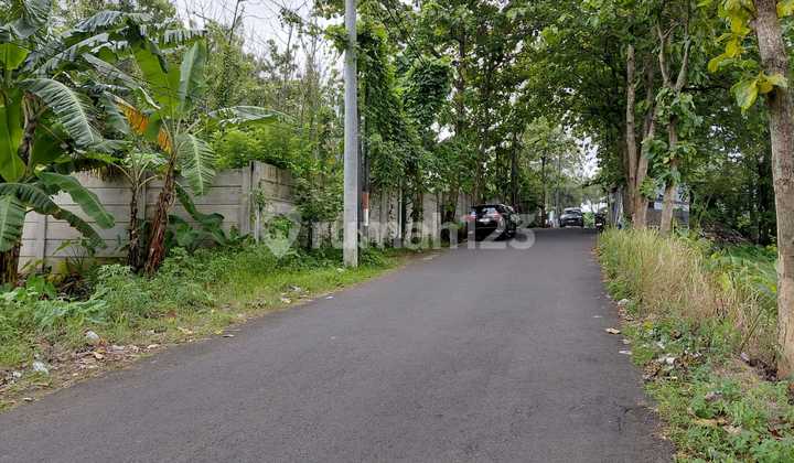 Tanah Persegi Dekat Sekolah International Di Jangli Semarang 2