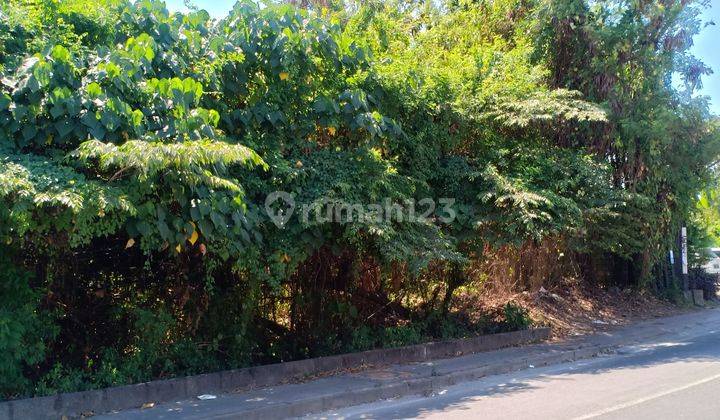 Tanah 18,8 Are Di Lokasi Sangat Strategis Batu Belig Kerobokan 2