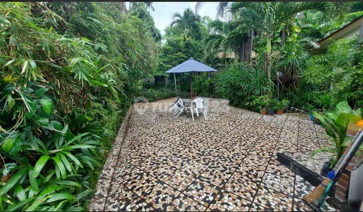 Dijual Properti di Tepi Pantai Langsung Rumah Dan Lahan Luas 8