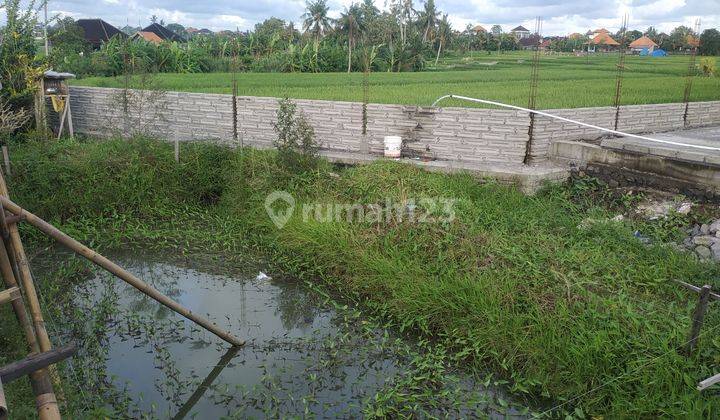 Disewakan Villa 2 Kamar On Progress Konstruksi View Sawah Cemagi 3