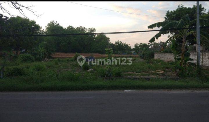 Dijual tanah strategis 0KM jalan raya pantura tuban  1