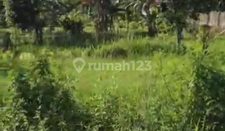 Land for sale. Spacious. on Kuranji Main Road, Padang, West Sumatra.