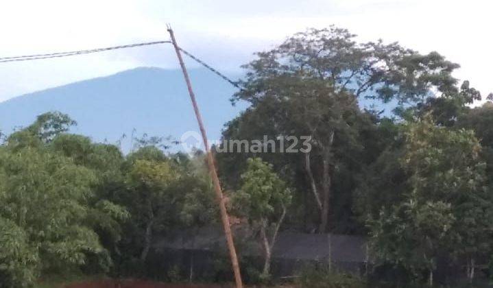 Tanah bagus murah di ciseeng dekat parung 2