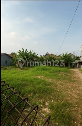 Tanah Bagus Produktif Cocok Buat Rumah Dekat Pintu Tol Desari Tanah Bagus Produktif Cocok Buat Rumah Dekat Pintu Tol Desari
