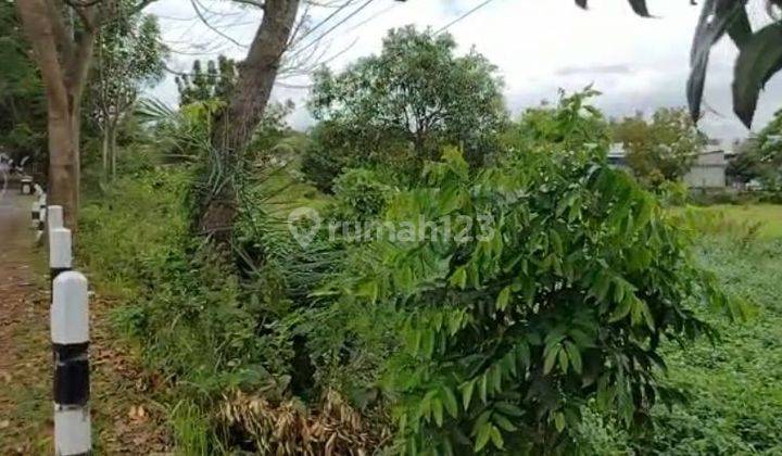 Dijual Murah Tanah di Lombok Nol Jl Raya Mataram Sikur A Yani  2