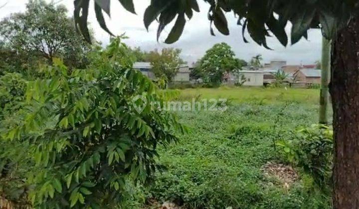 Dijual Murah Tanah di Lombok Nol Jl Raya Mataram Sikur A Yani  2