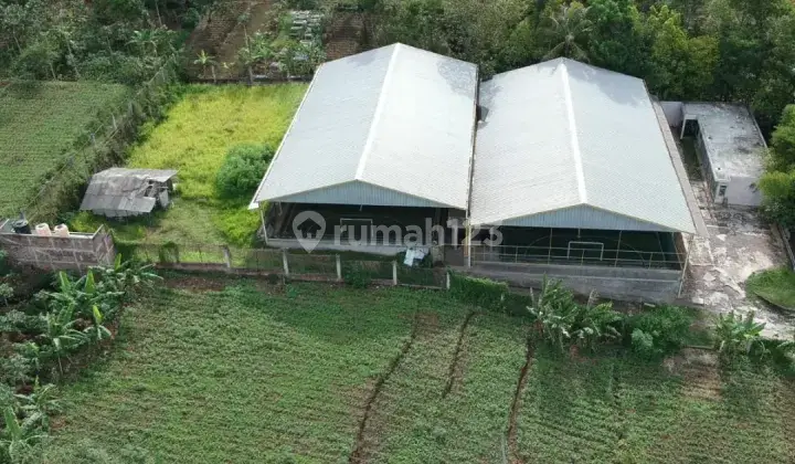 Tanah 5 km dari kota Garut cocok untuk perumahan, gudang dan lainnya  2