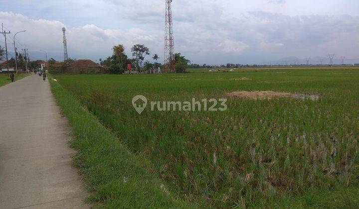 Tanah Cocok untuk Perumahan Gudang Dan lainnya 10 di Jl Haurpugur 10 menit dari Borma Rancaekek SHM 2