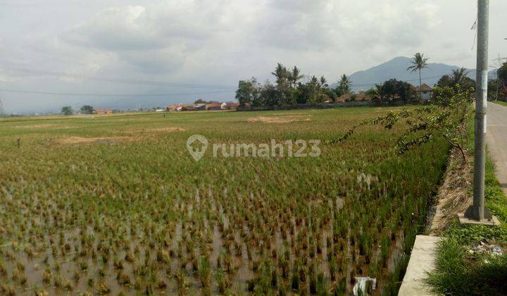 Tanah Cocok untuk Perumahan Gudang Dan lainnya 10 di Jl Haurpugur 10 menit dari Borma Rancaekek SHM 1