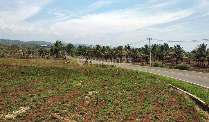 Tanah siap Bangun view pantai di Jl. Raya nasional lintas Selatan Jawa barat  2