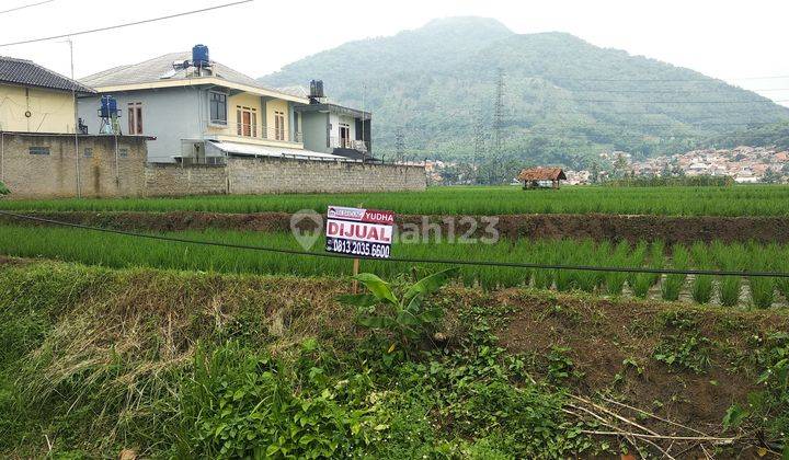 JATINANGOR TANAH COCOK UNTUK INVESTASI MAUPUN DI BANGUN PERUMAHAN,Tanah Sawah Di ATAS JALAN
COCOK UNTUK Perumahan 2