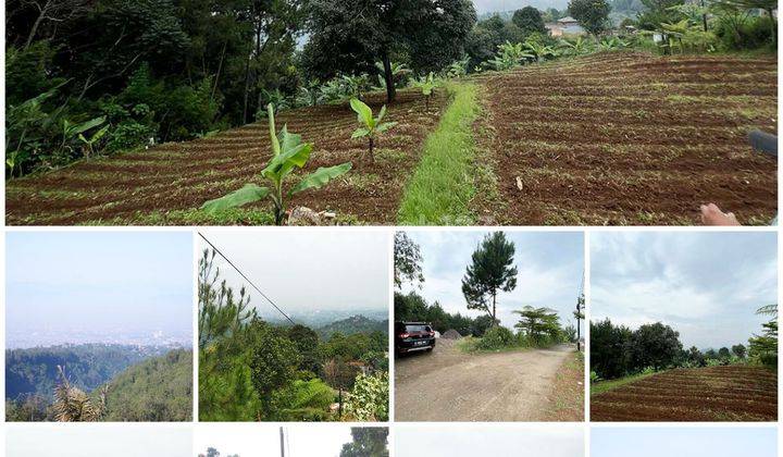 Tanah kebun Bandung Utara udara sangat sejuk SHM 2