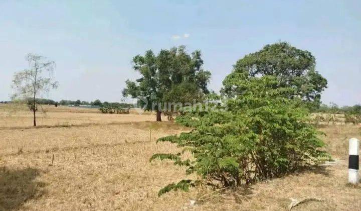 Jual Cepat, Muraaah, Tanah Luas, Strategis, Cocok Untuk Rumah, Gudang Dan Lainnya 2