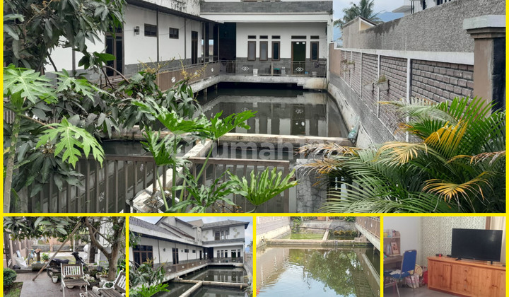 Provincial Roadside House Suitable for Office and Business Provincial Roadside House Suitable for Office and Business