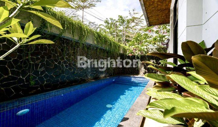 RUMAH MEWAH 4 LANTAI HOEK PRIVATE SWIMMING POOL DEKAT PUSAT KULINER BEBAS BANJIR 1