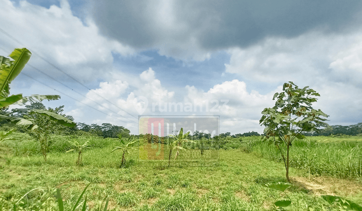 Tanah Kavling Industri Siap Bangun dijalan Boyolali - Sragen 1