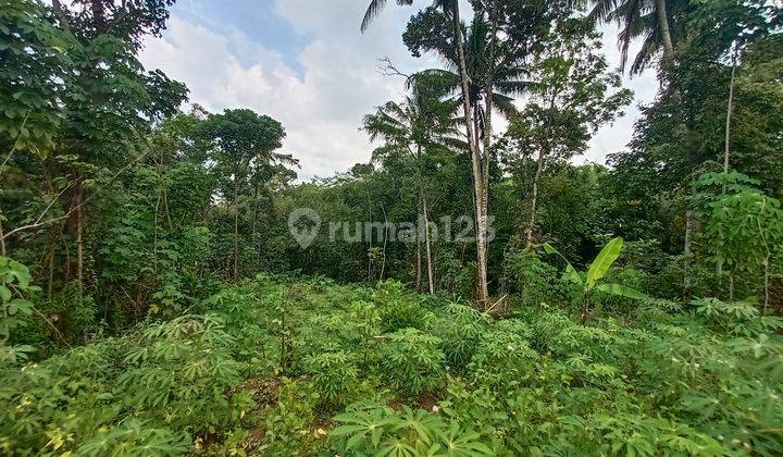 Tanah Siap Bangun Zona Industri Jateng di Boyolali arah Sragen 3