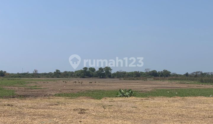 Strategic Land in Industrial Area Near Toll Gate and KIK Strategic Land in Industrial Area Near Toll Gate and KIK