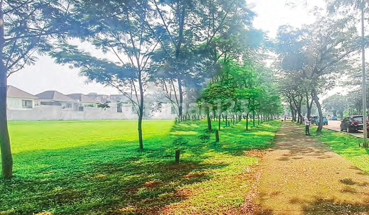 Commercial Lot Boulevard Alam Sutera Commercial Lot Boulevard Alam Sutera