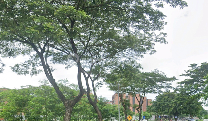 Commercial Lot Boulevard Alam Sutera Commercial Lot Boulevard Alam Sutera