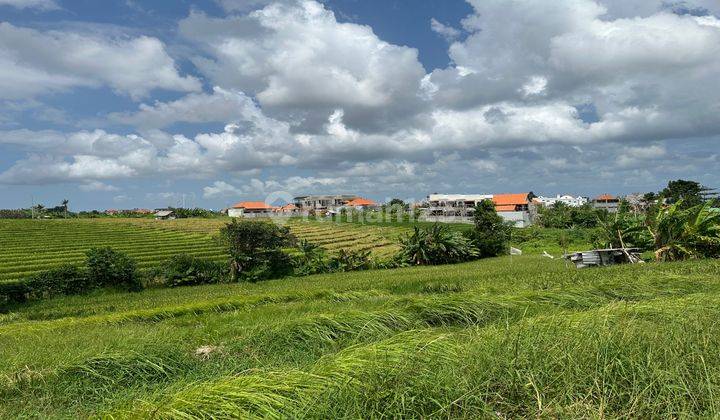 Tanah Mantap View Pemandangan Sawah Membentang Di Tibubeneng 1