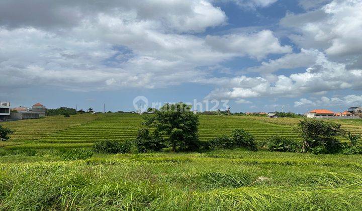 Tanah Mantap View Pemandangan Sawah Membentang Di Tibubeneng 2