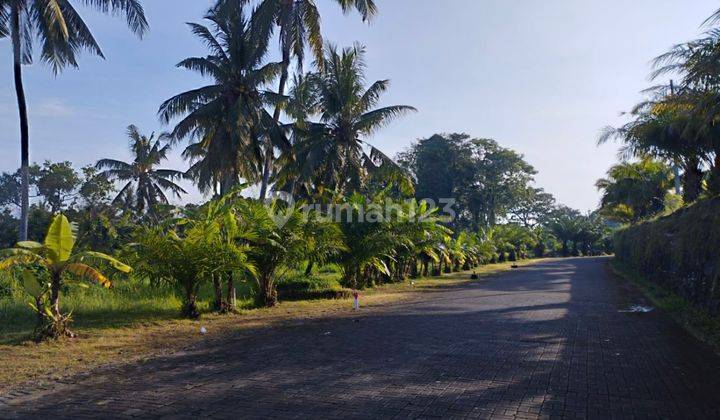  Land on Jln Sambandha Greenlot, Munggu SHM - Certificate of Ownership 1