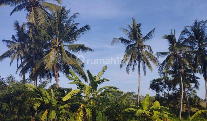  Land on Jln Sambandha Greenlot, Munggu SHM - Certificate of Ownership 2