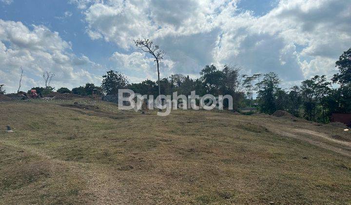 TANAH KAVLING SABA DEKAT DENGAN PANTAI DI GIANYAR 1